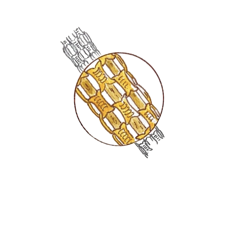 Flat Bizmark Bracelet