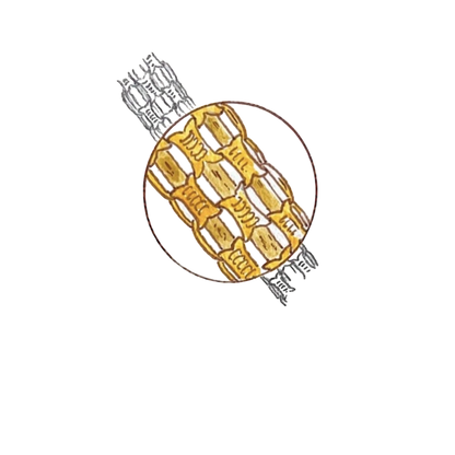 Flat Bizmark Bracelet